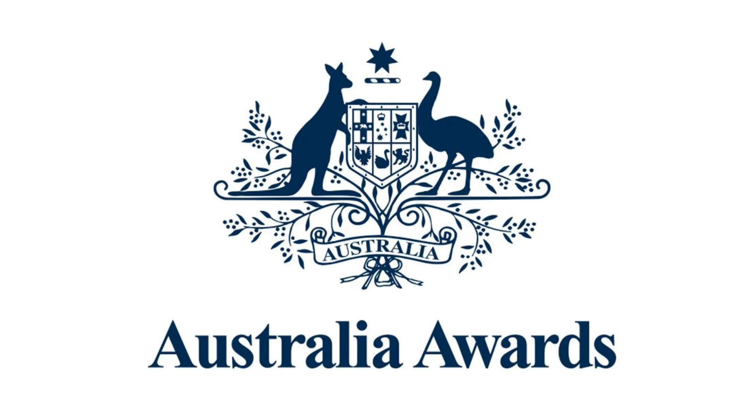 AA-logo-Navy_Web