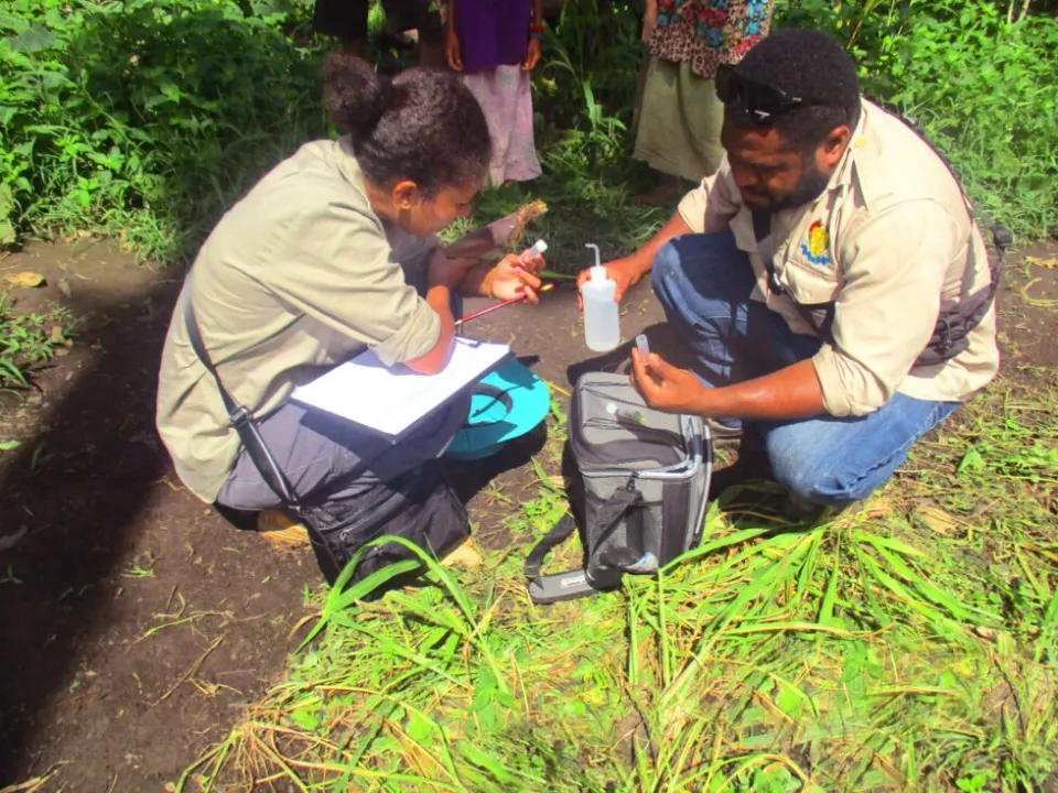 Noah-Saruwa-right-collecting-and-preserving-insect-specimen