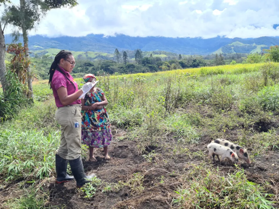 Tania-working-in-the-field-checking-poultry-and-pigs